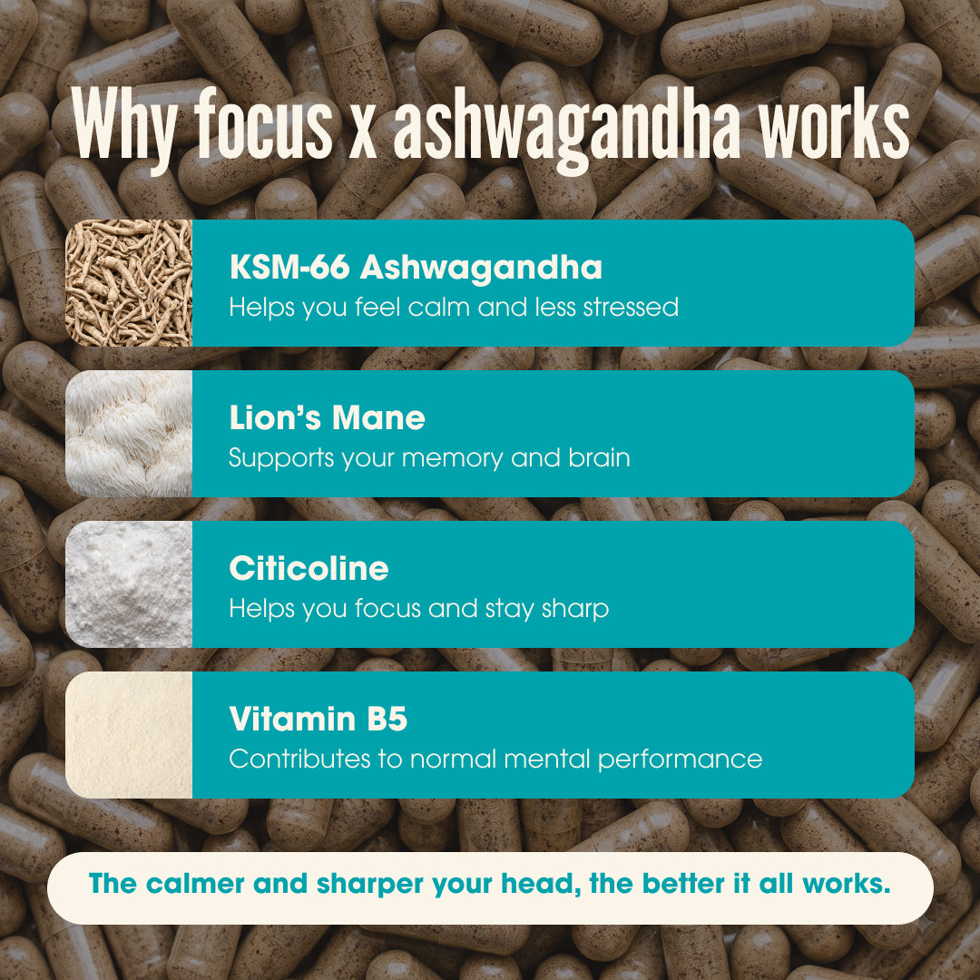 Focus x Ashwagandha