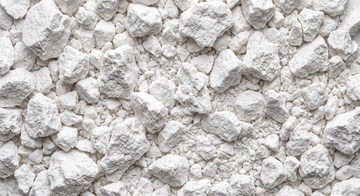 Creatine monohydrate powder